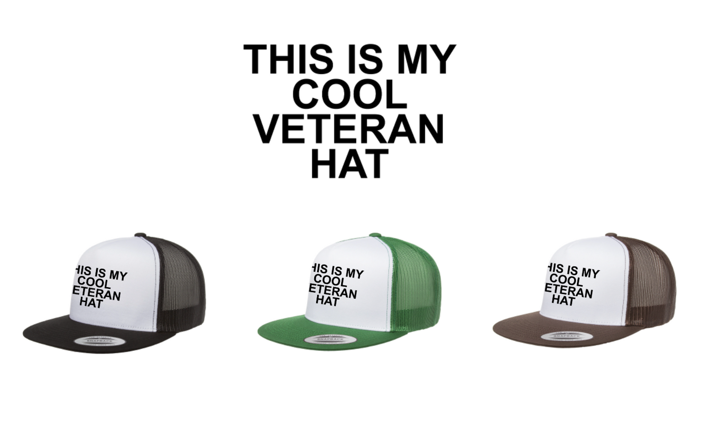 'This Is My Cool Veteran Hat' Adult Hat